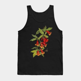 Crossvine - Bignonia capreolata - botanical illustration Tank Top